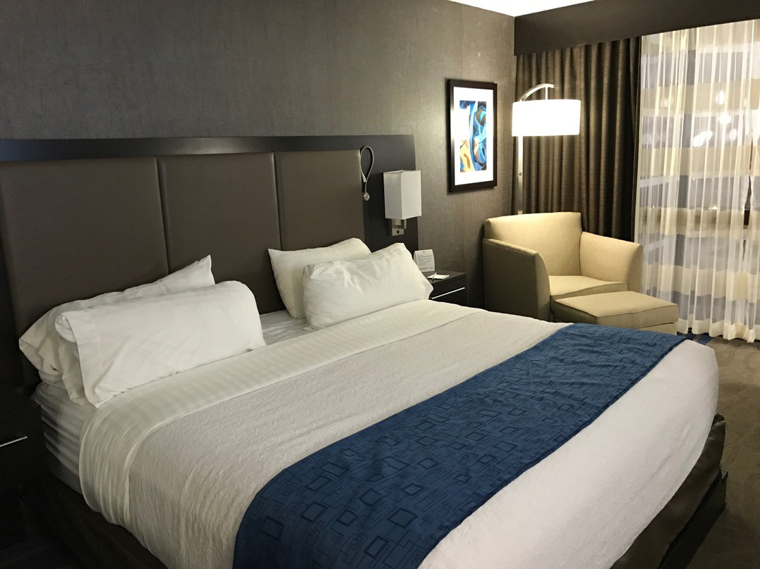 Granite City酒店住宿-Holiday Inn St. Louis - Downtown Conv Ctr By IHG