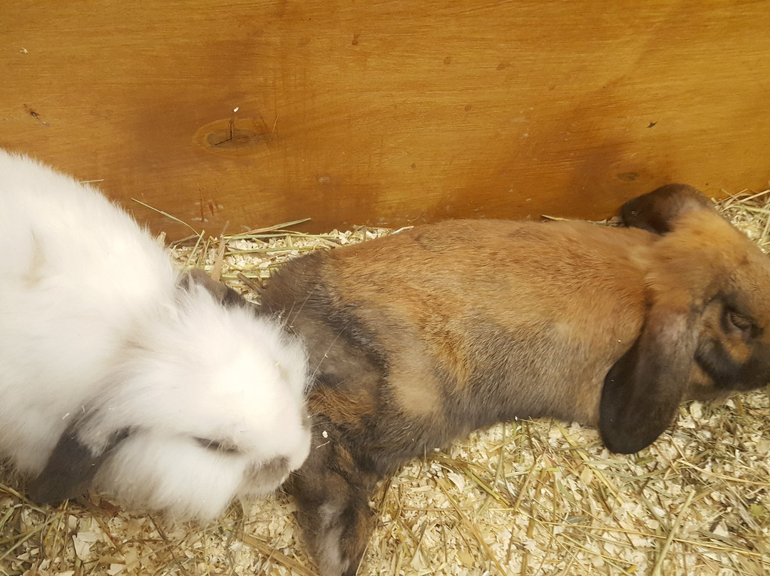 Touching Zoo Makki-Pakki-敖德萨必去景点