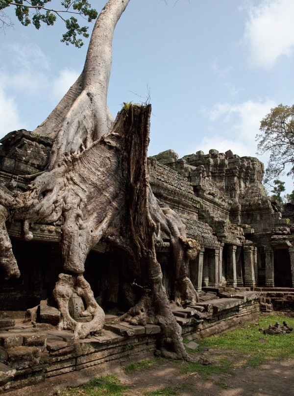 Angkor Taxi and TukTuk driver-暹粒必去景点
