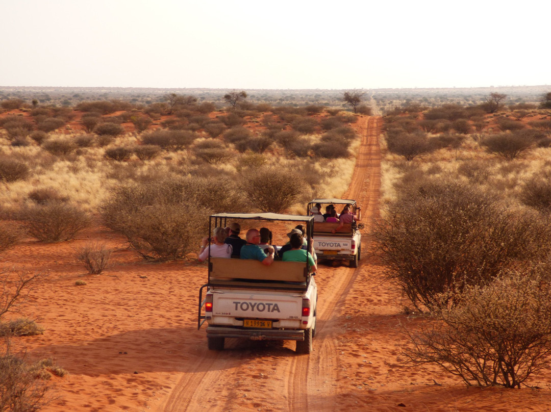 Bitterwasser Lodge & Flying Centre-温德和克必去景点