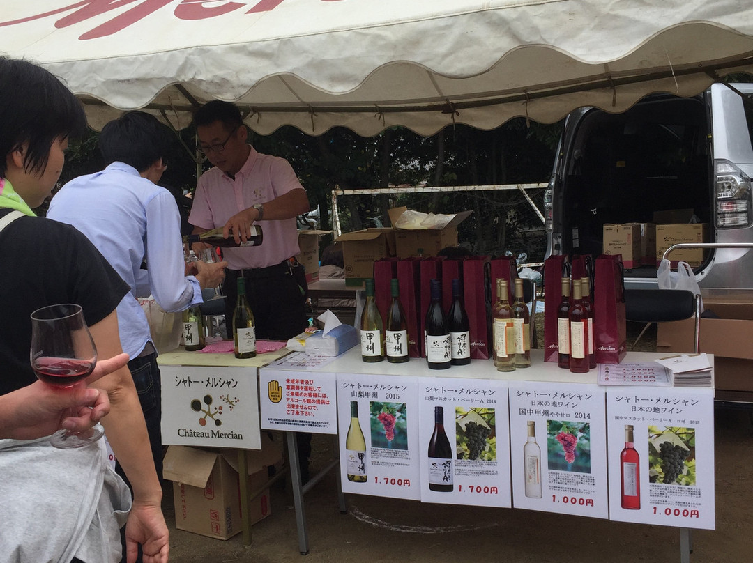 Koshu City Katsunuma Grape Festival景点图片