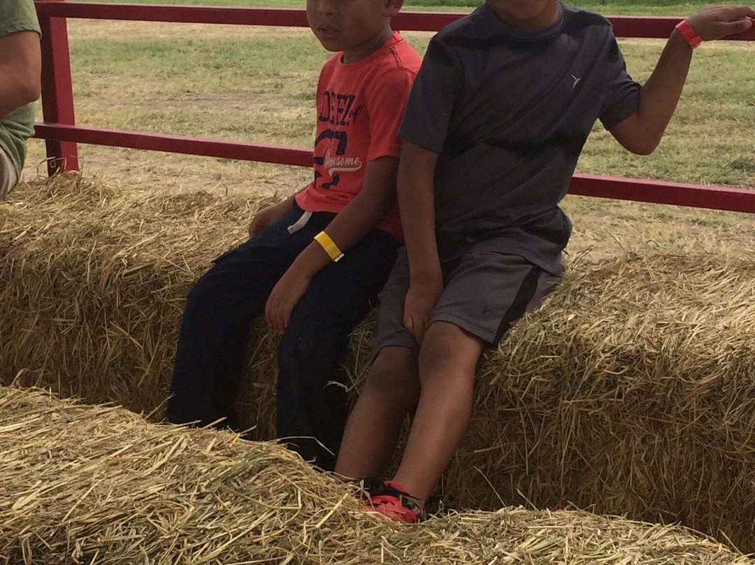 South Texas Maize-Hondo必去景点