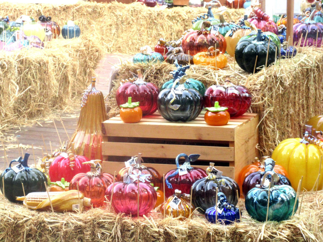 Bay Area Glass Institute-圣何塞必去景点