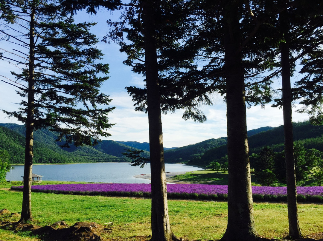 Lake Kanayama Forest Park-南富良野町必去景点