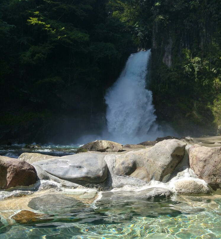 Amagisou Tachiyori-yu Hot Spring-河津町必去景点