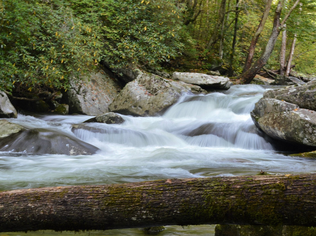 Upper Tremont Road in Great Smoky Mountains National Park-大雾山国家公园必去景点