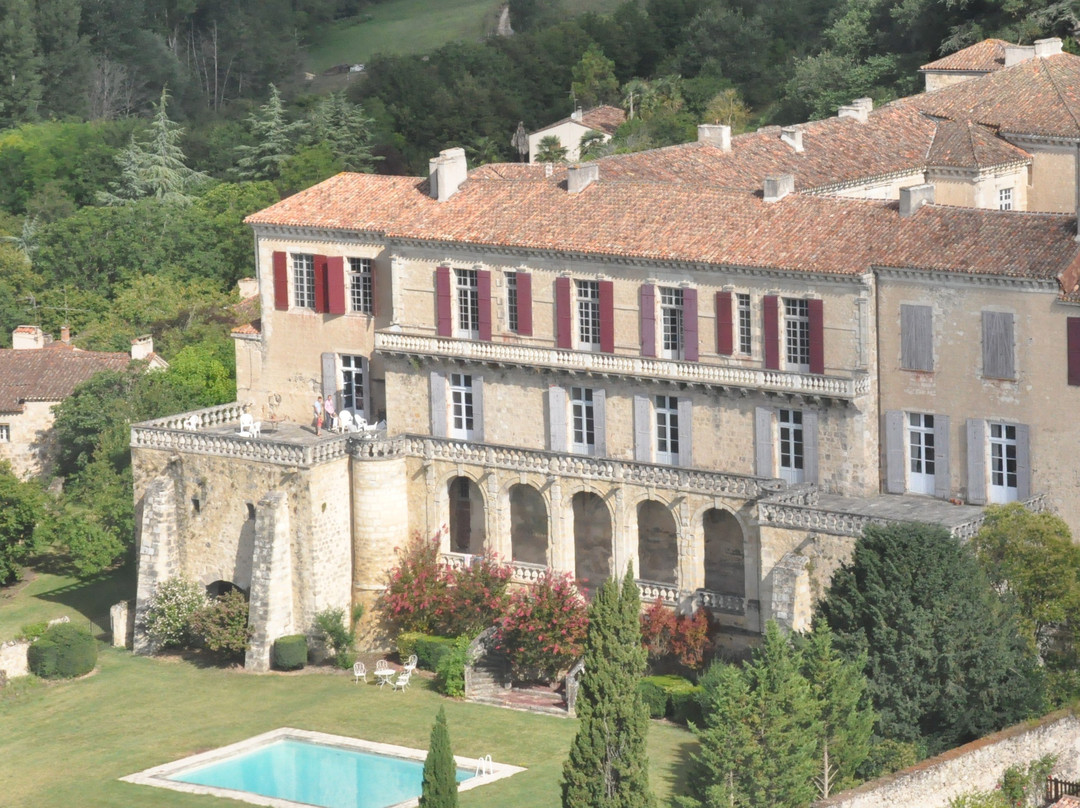 Château de Poudenas景点图片
