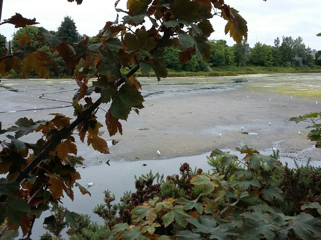 Booterstown Bird Sanctuary-都柏林必去景点