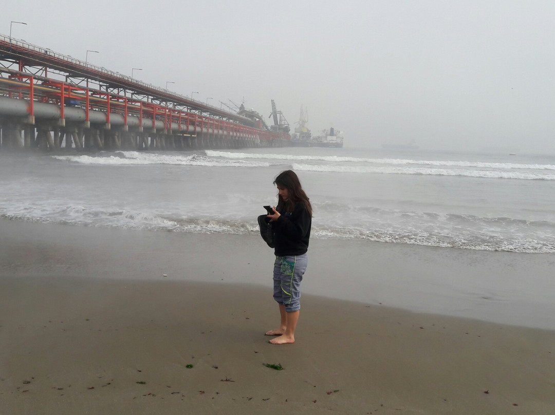 Las Ventanas-Puchuncavi必去景点