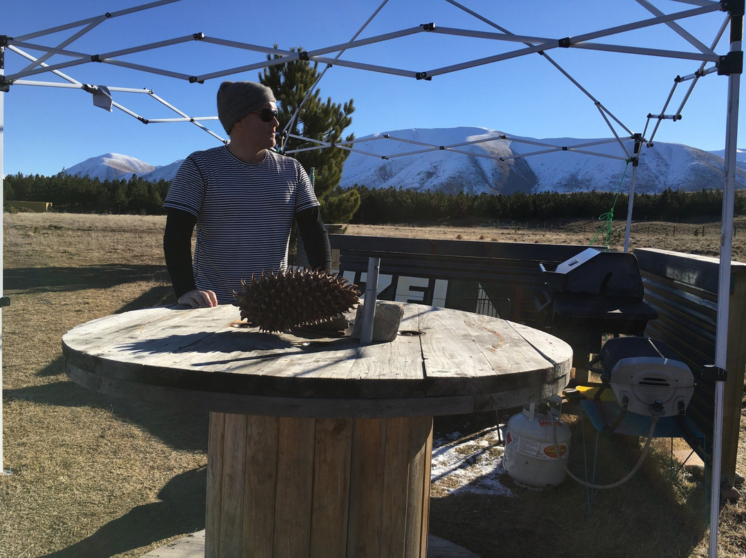 Ben Ohau Road Cheese-特威泽尔必去景点