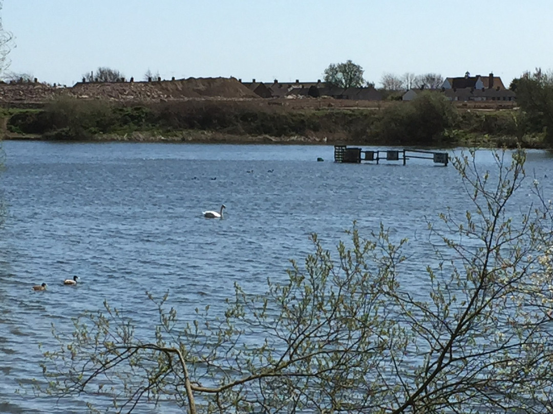 Little Belhus Country Park景点图片