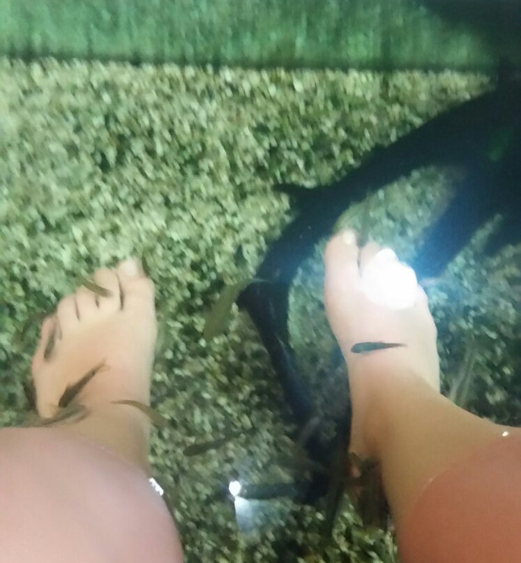 Fresh Feet Fish Spa景点图片