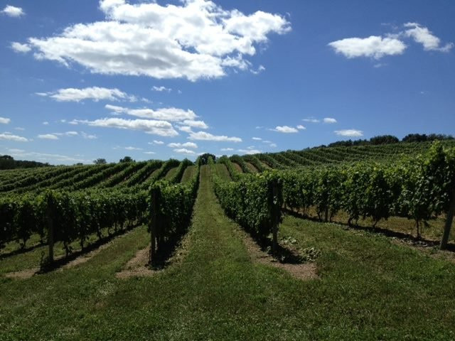 Shade Mountain Winery & Vineyard景点图片