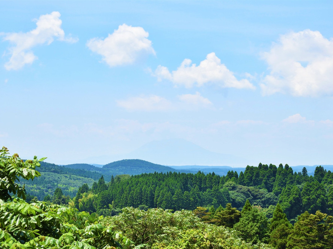 Kirishima Shrine Viewing Point景点图片