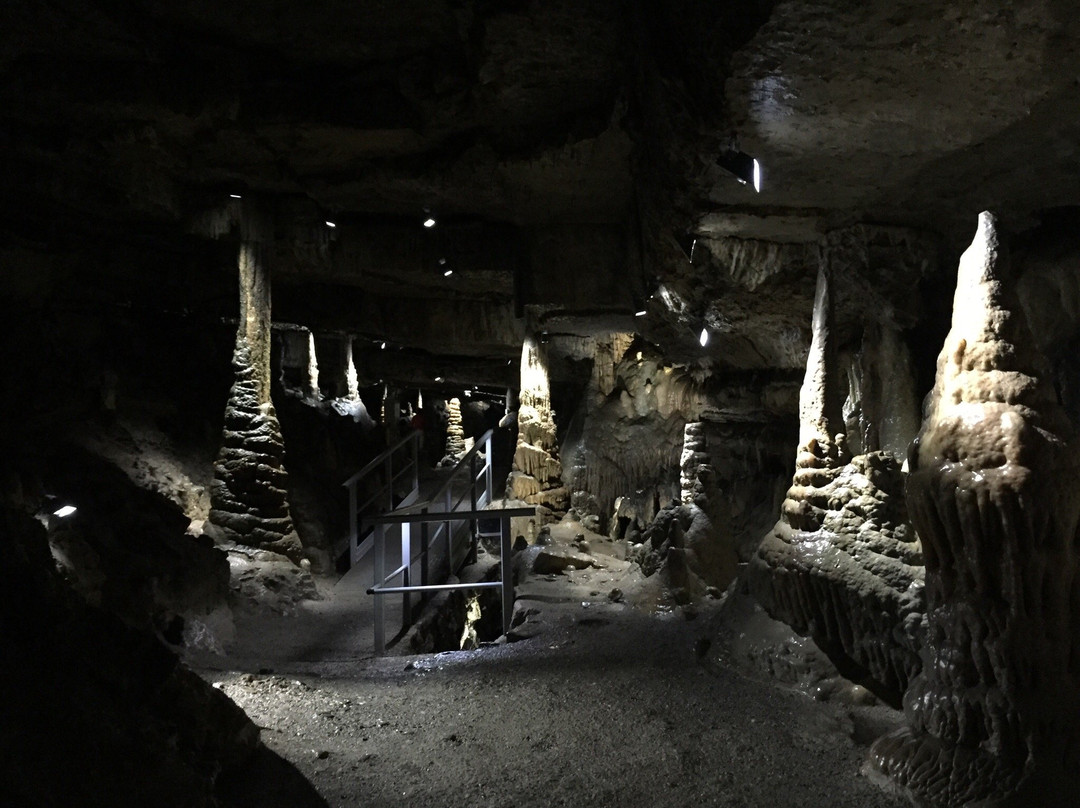 Erdmannshöhle-Hasel必去景点
