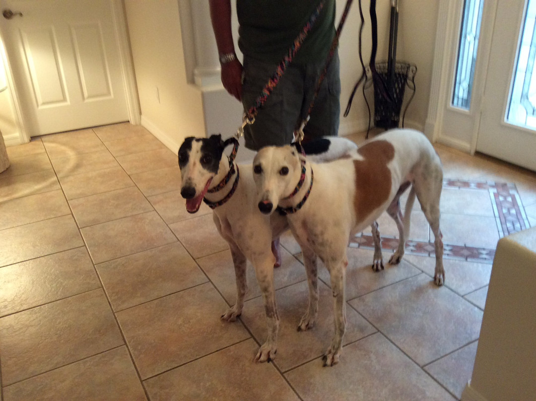 Bing's Landing-棕榈海岸必去景点