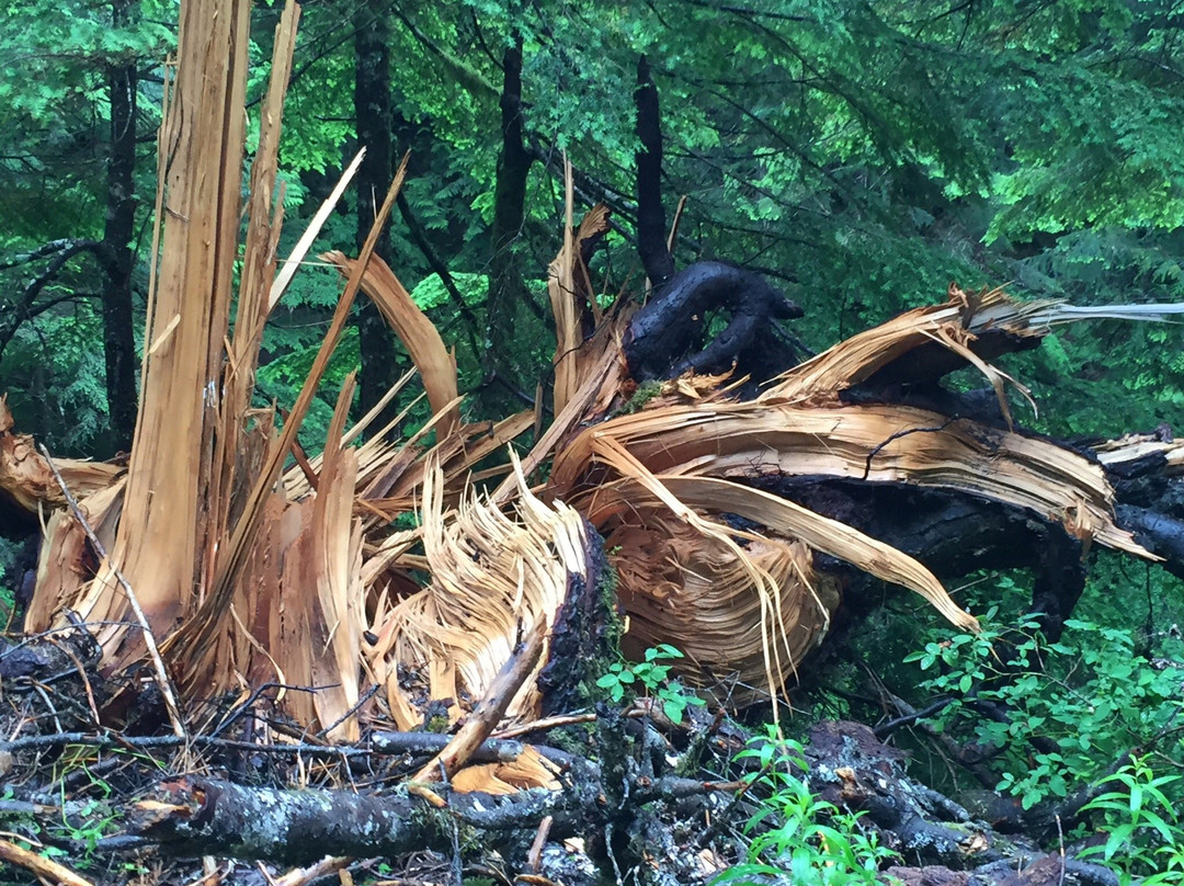Denny Creek Trail景点图片