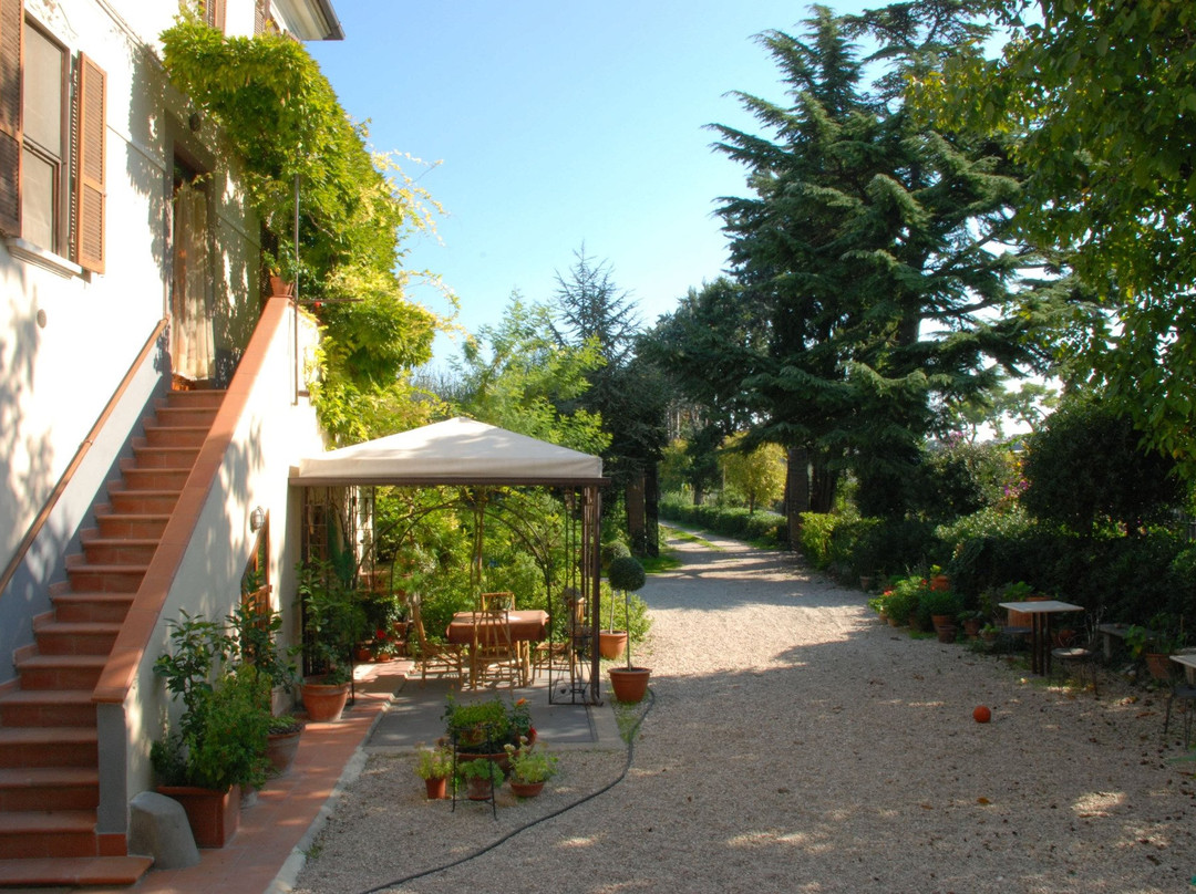 B & B Cantine Cameli主图