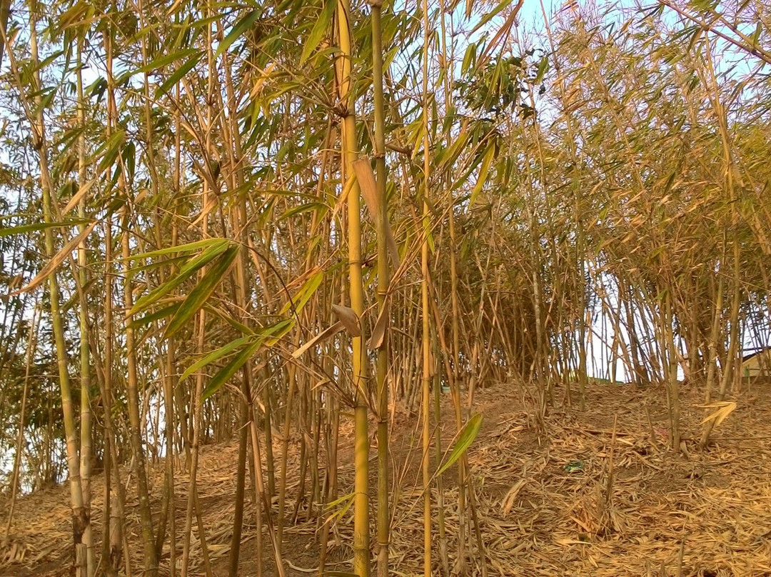Keokradong-Bandarban必去景点