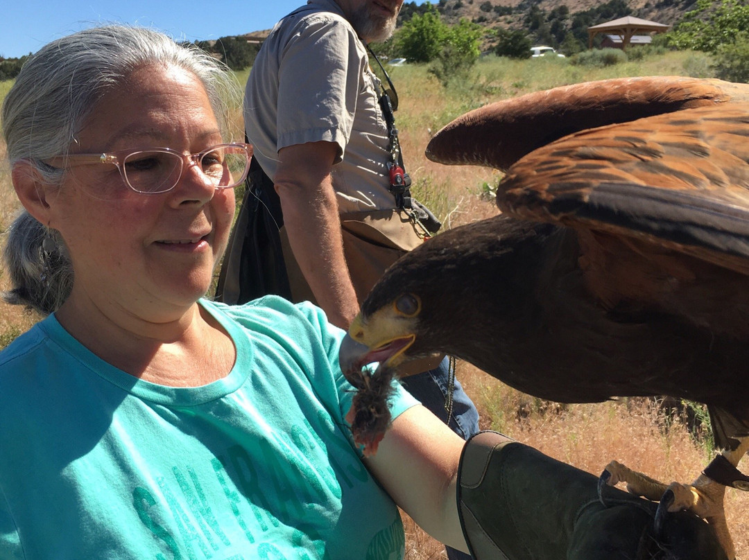 Raptor Adventures-里诺必去景点