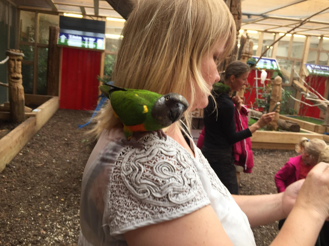 Die Welt der Schmetterlinge-Terfens必去景点