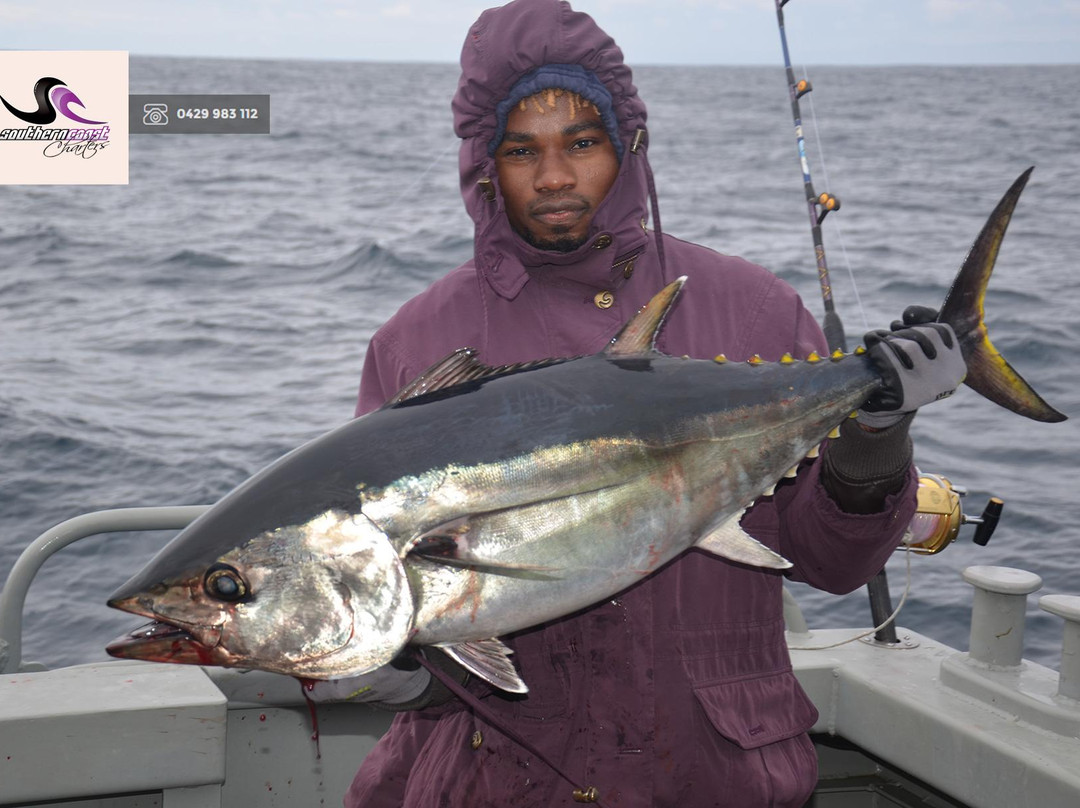 Southern Coast Charters-仙女港必去景点