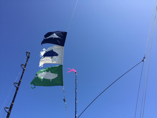 Deep Sea Sportfishing Hawaii-哈雷瓦必去景点