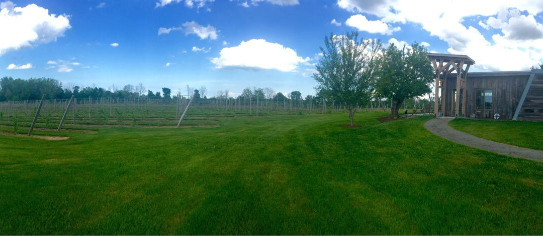 3 North Vines-Croswell必去景点