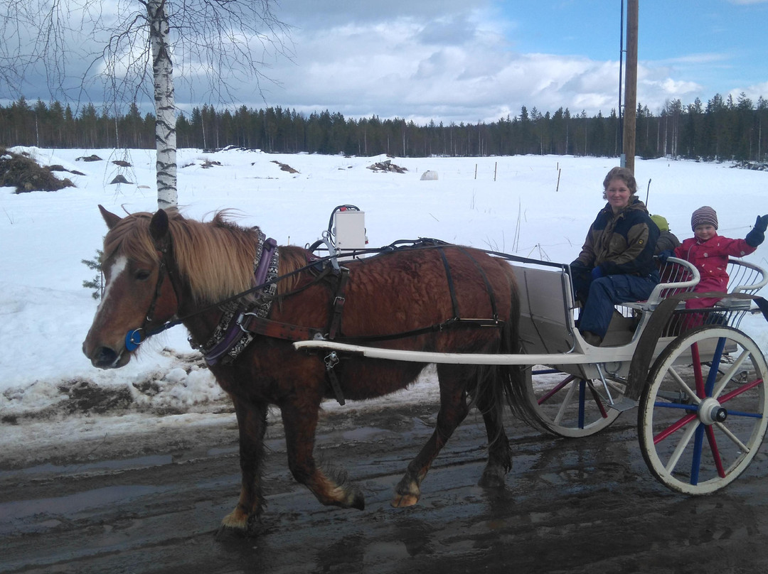 Eräratsut-罗瓦涅米必去景点