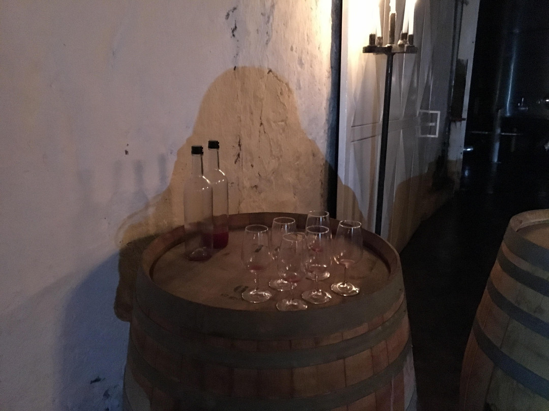Ruta del Vino - Alto Cachapoal景点图片