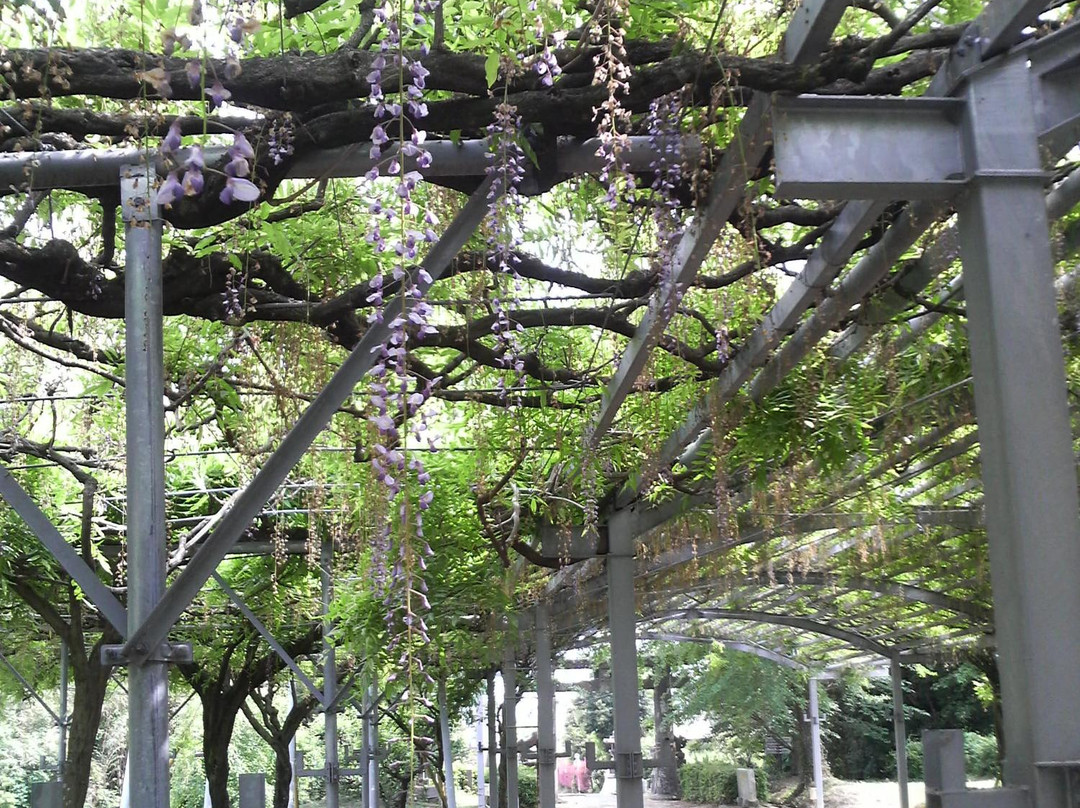 Yamada Hiyoshi Shrine-玉名市必去景点