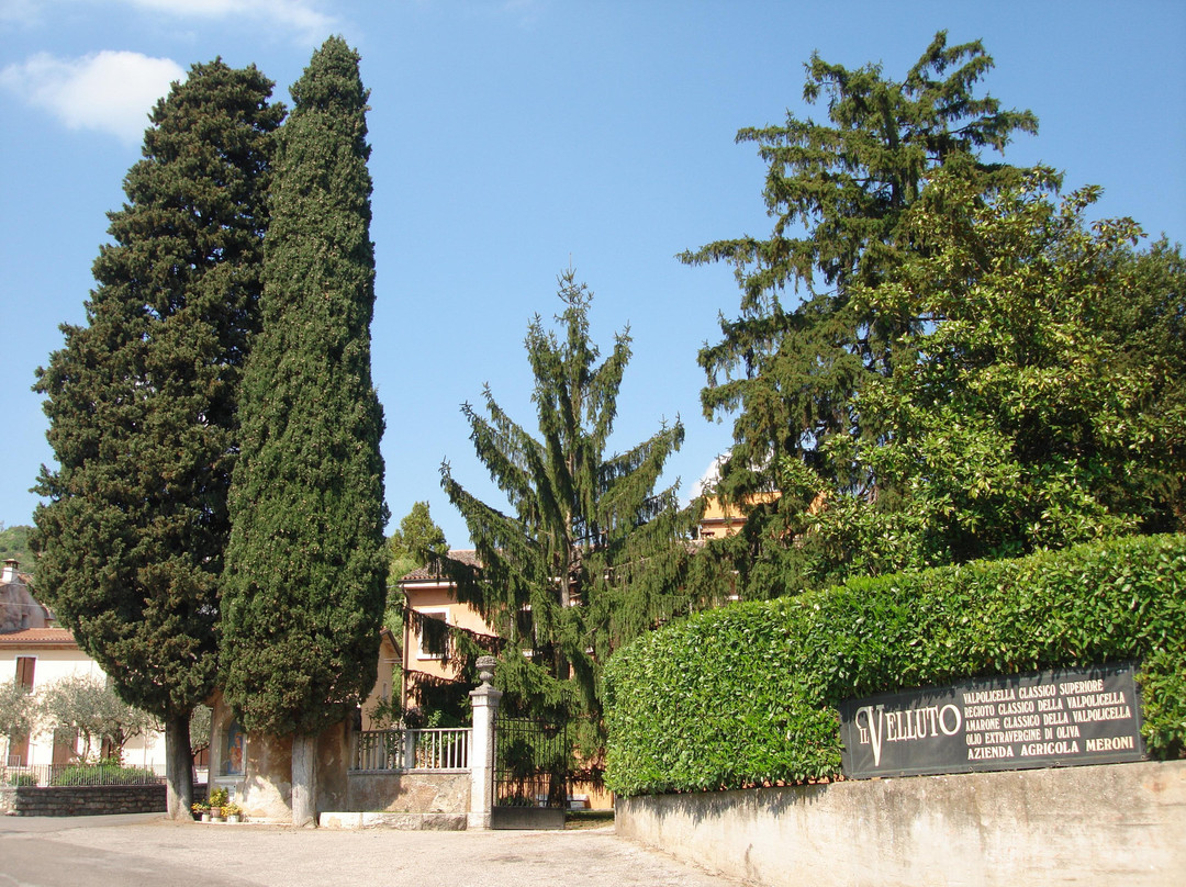 Azienda Agricola Meroni景点图片