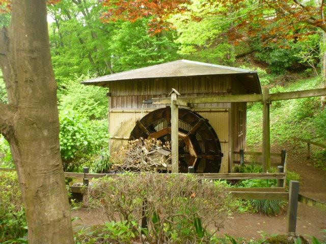 Machida City Minken no Mori Park-町田市必去景点