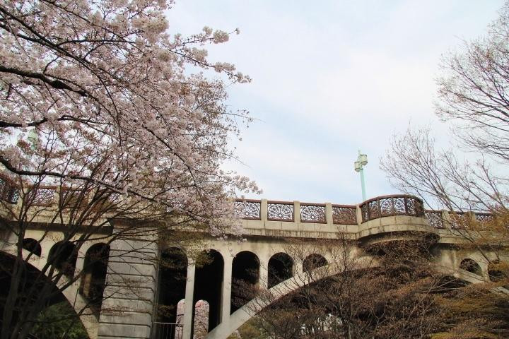 Otonashi Bridge景点图片