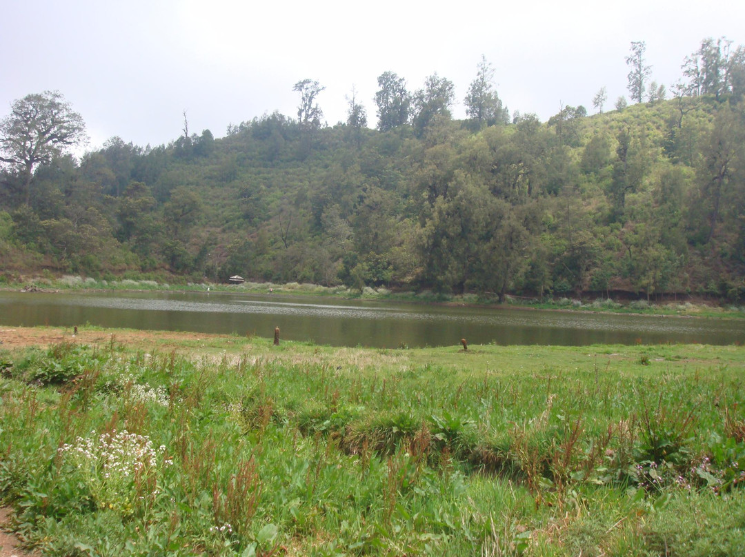 Lake Ranu Pane-Lumajang必去景点