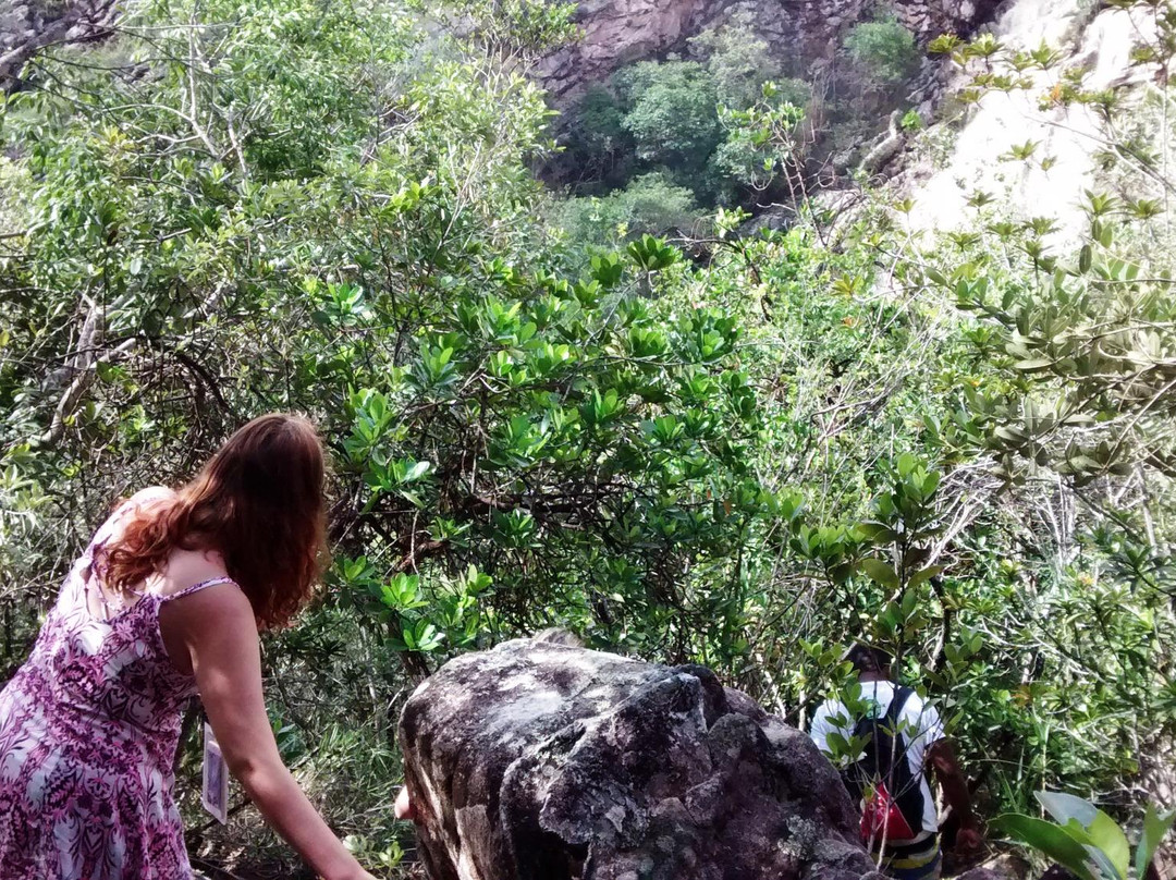 Cachoeira Bate-Palma