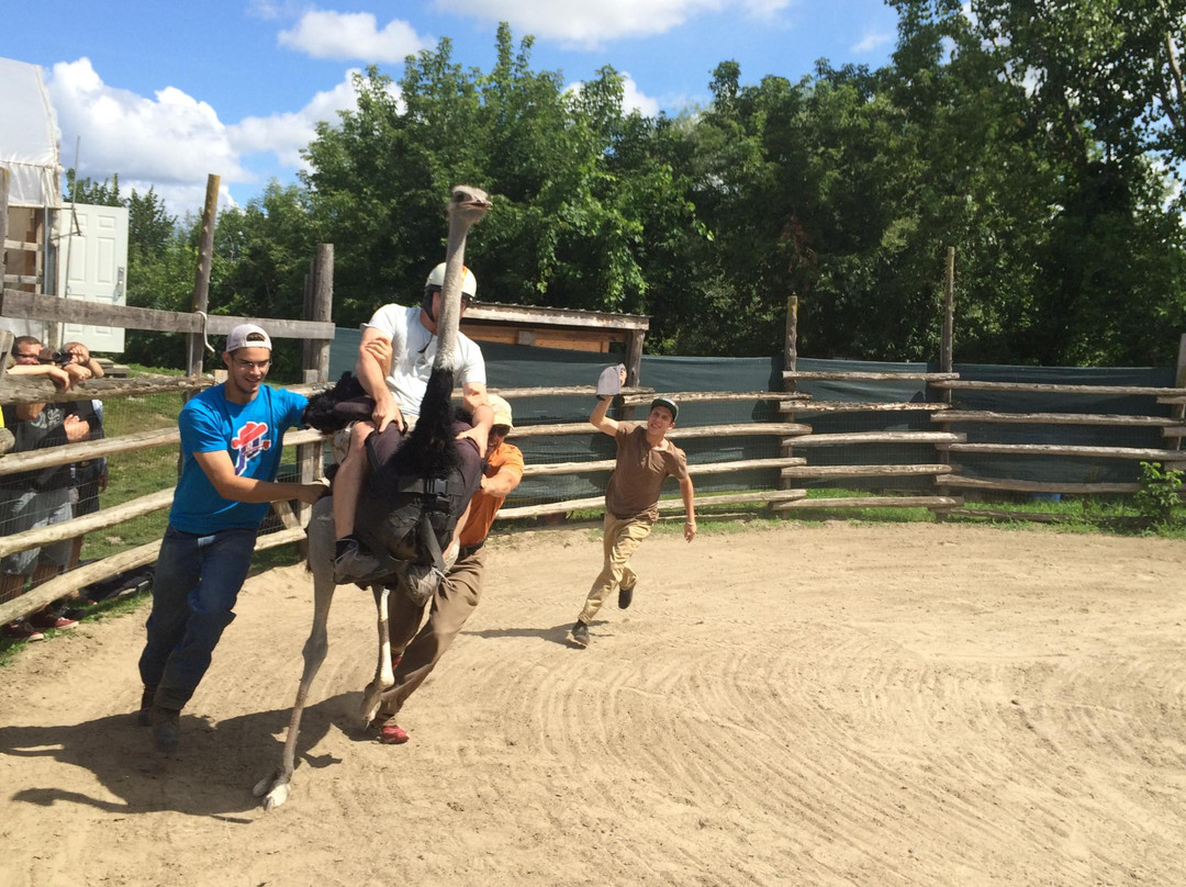 Nid'Otruche-Saint-Eustache必去景点