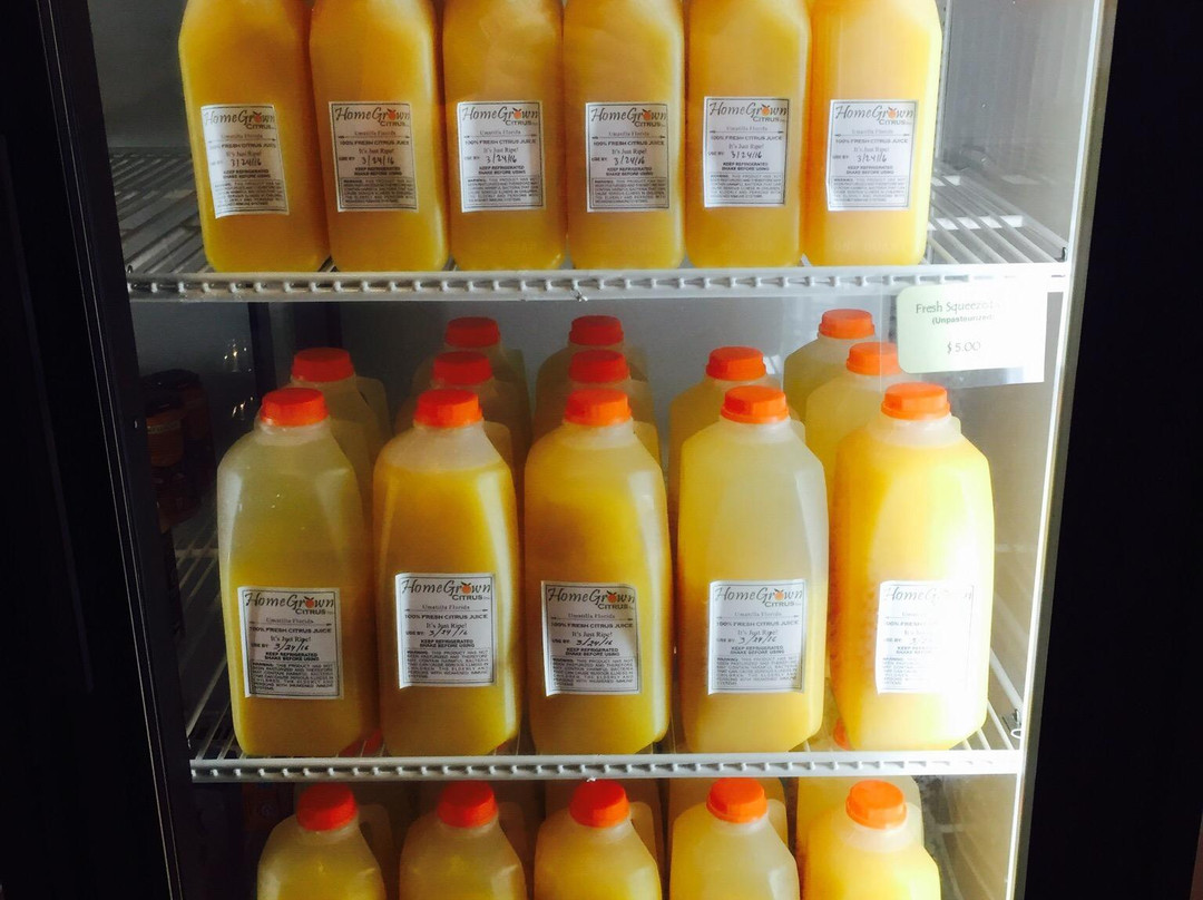 Sunsational Citrus-Umatilla必去景点