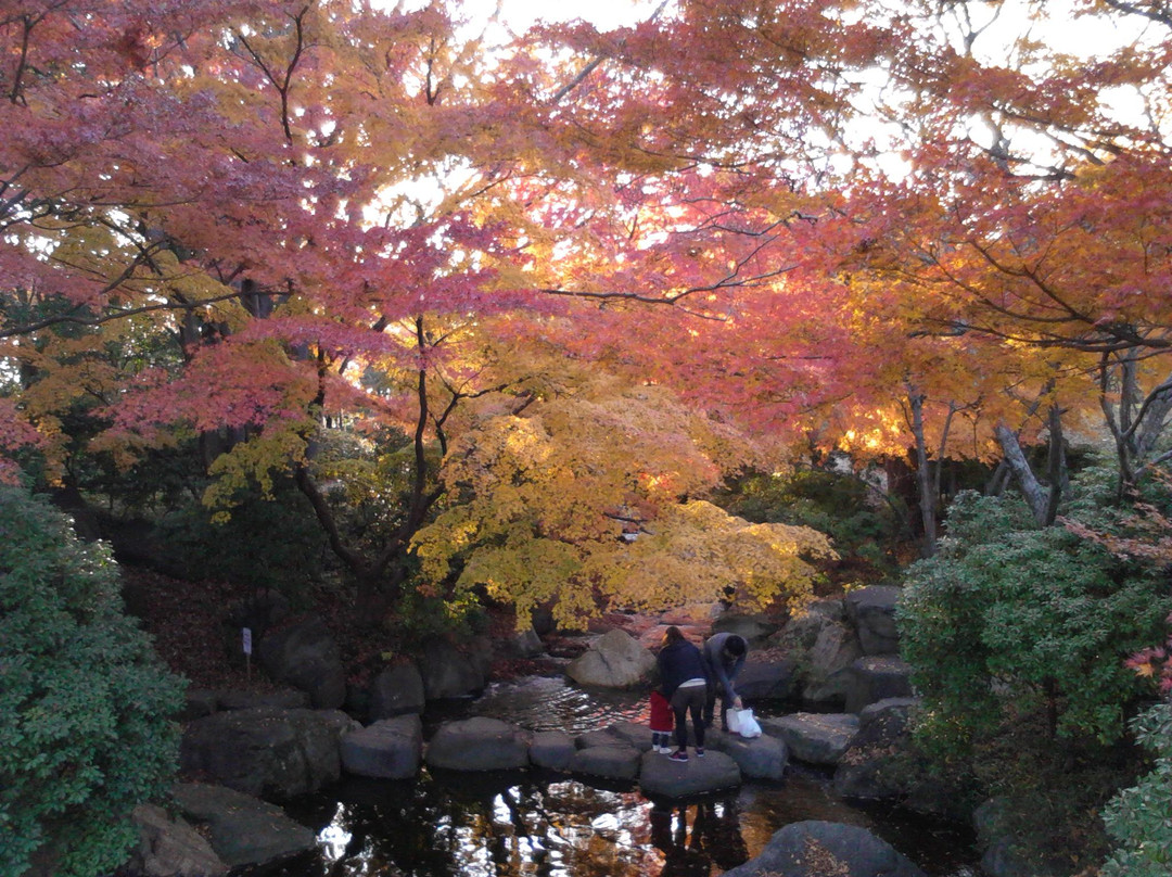 Tochigiken Chuo Park-宇都宫市必去景点