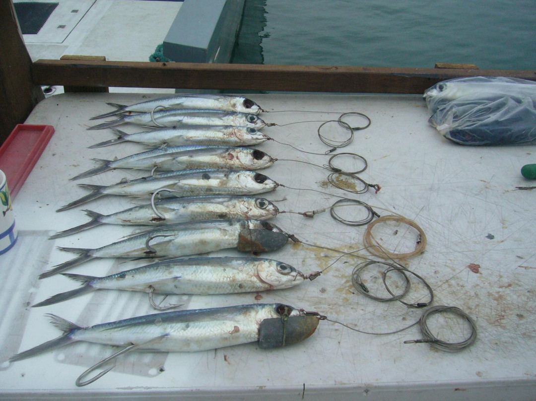 Vision Fishing Charters-阿瓦鲁阿必去景点