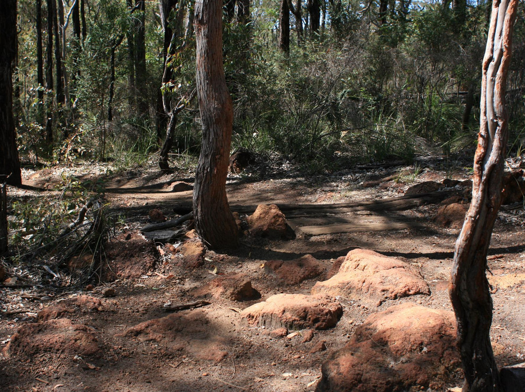 Kalamunda Mountain Bike Circuit景点图片