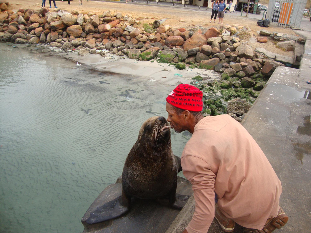 Cape Town Travel n Tours-开普敦中心区必去景点