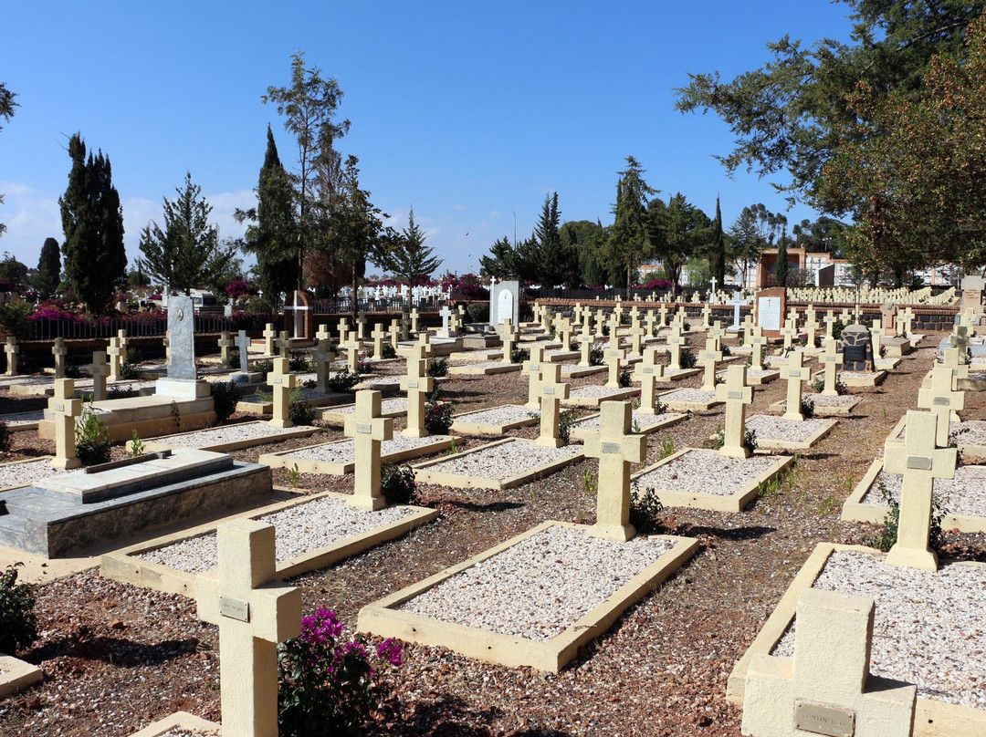 Cimitero Italiano Di Asmara景点图片
