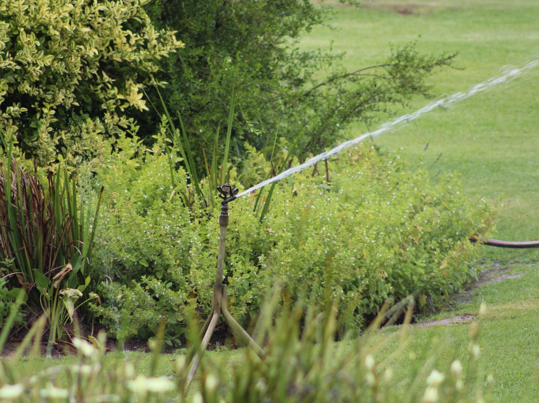 Hornbills Forest Getaway主图