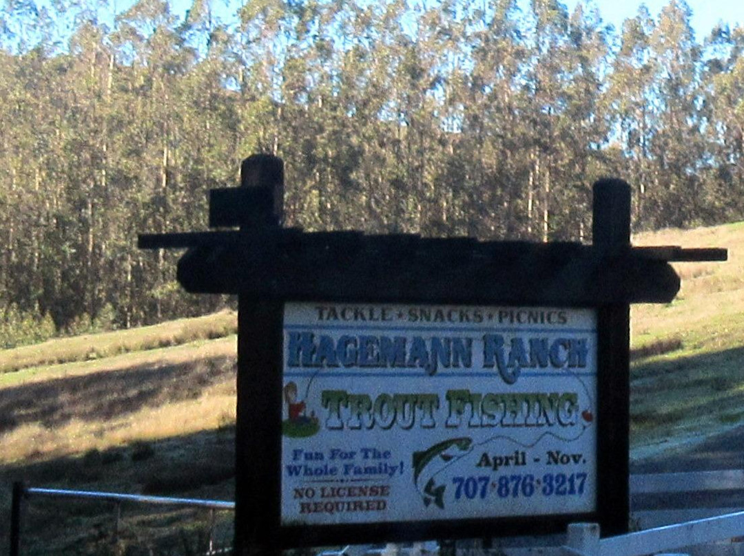 Hagemann Ranch Trout Fishing景点图片