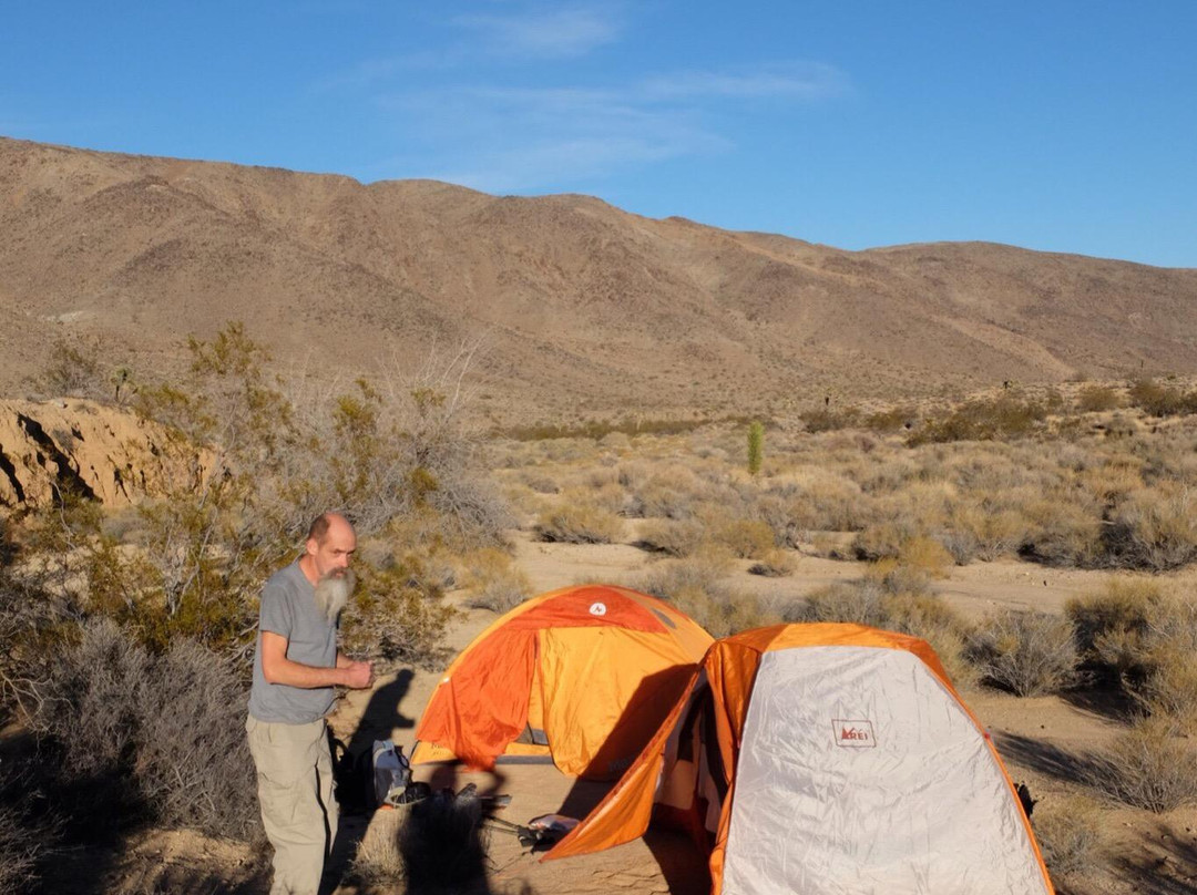 Geology Tour Road-约书亚树国家公园必去景点