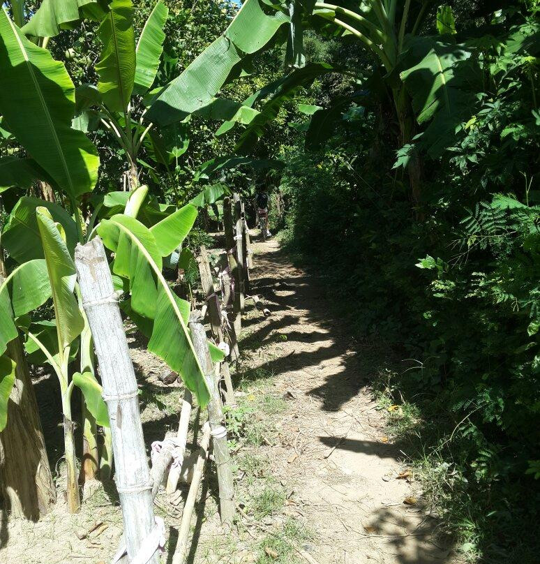 Koh Paen Island-磅湛必去景点