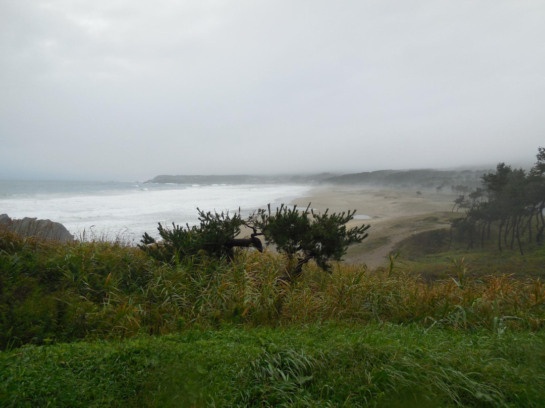 Osuka Beach-八户市必去景点