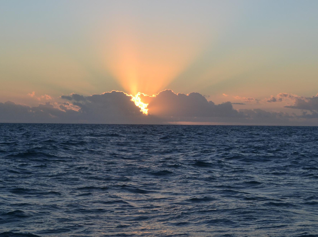 Recife de Corais de Guaratiba-Prado必去景点