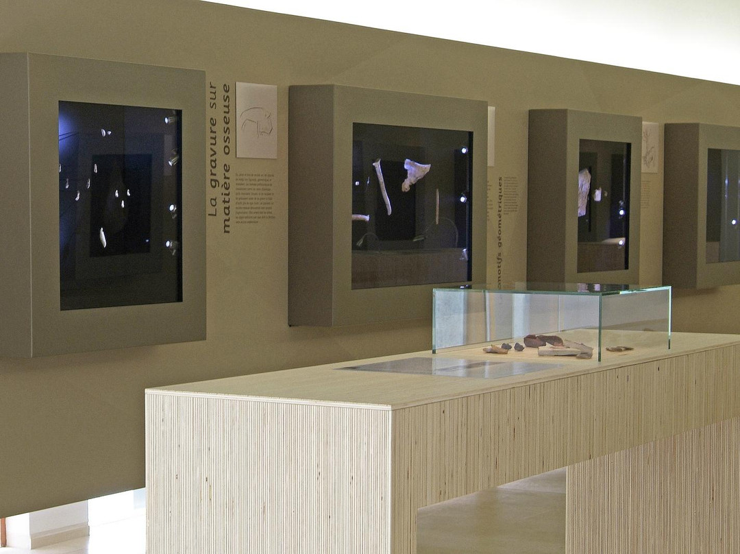La Sabline Musee de Préhistoire景点图片